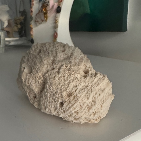 Natural Cream Coral Sculpture - Picture 4 of 6